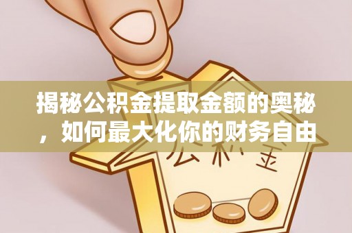 白朗揭秘公积金提取金额的奥秘，如何最大化你的财务自由