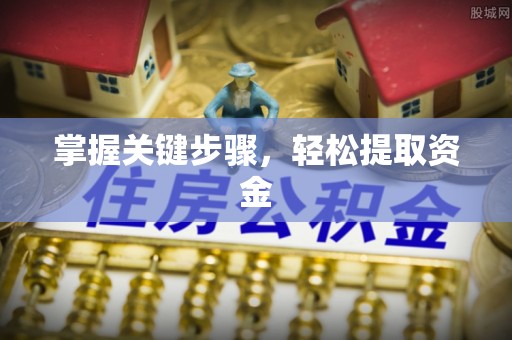 白朗掌握关键步骤，轻松提取资金