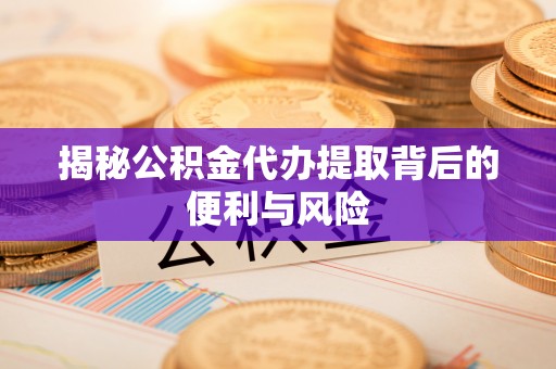 白朗揭秘公积金代办提取背后的便利与风险