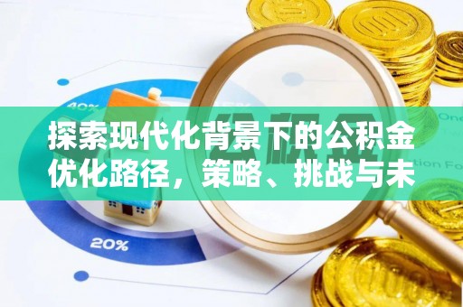 白朗探索现代化背景下的公积金优化路径，策略、挑战与未来展望