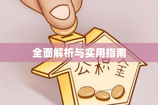 白朗全面解析与实用指南