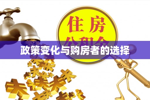 白朗政策变化与购房者的选择