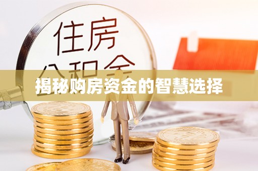 白朗揭秘购房资金的智慧选择