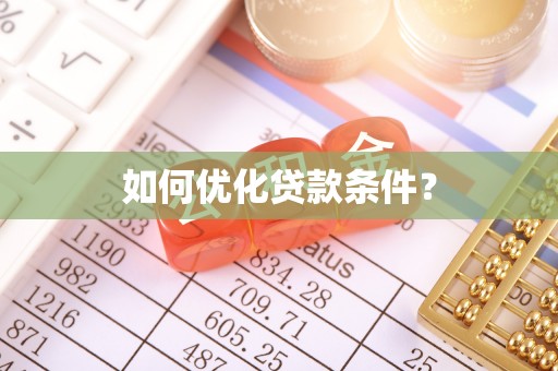 白朗如何优化贷款条件？