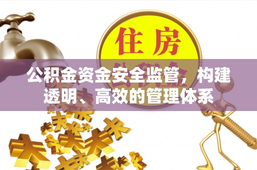 白朗公积金资金安全监管，构建透明、高效的管理体系