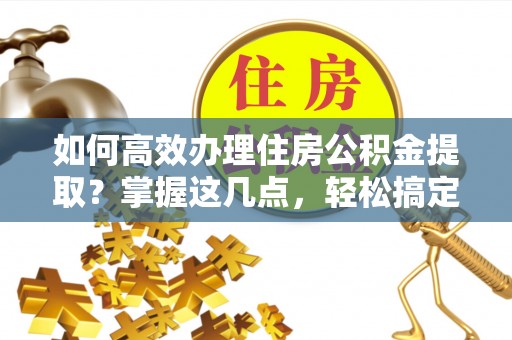 白朗如何高效办理住房公积金提取？掌握这几点，轻松搞定！