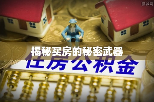 白朗揭秘买房的秘密武器