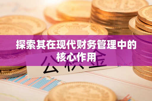 白朗探索其在现代财务管理中的核心作用