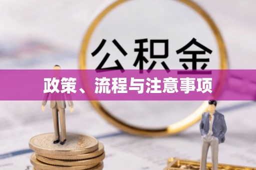 白朗政策、流程与注意事项