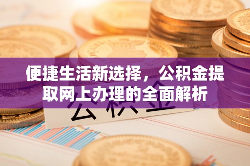 白朗便捷生活新选择，公积金提取网上办理的全面解析