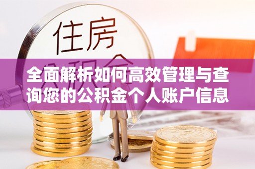 白朗全面解析如何高效管理与查询您的公积金个人账户信息