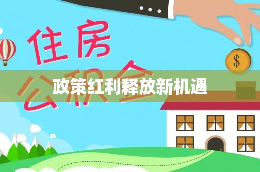 白朗政策红利释放新机遇
