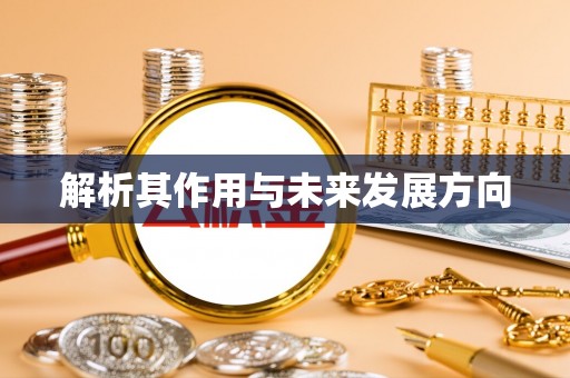 白朗解析其作用与未来发展方向