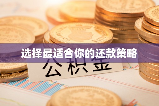 白朗选择最适合你的还款策略