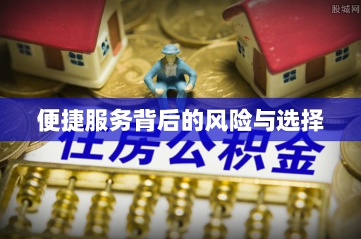 白朗便捷服务背后的风险与选择