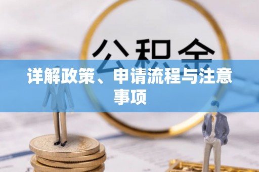 白朗详解政策、申请流程与注意事项