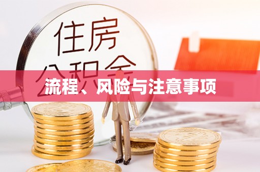 白朗流程、风险与注意事项