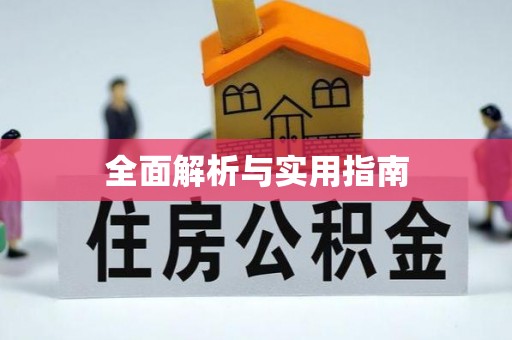 白朗全面解析与实用指南